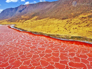 Езерото Натрон, Танзания